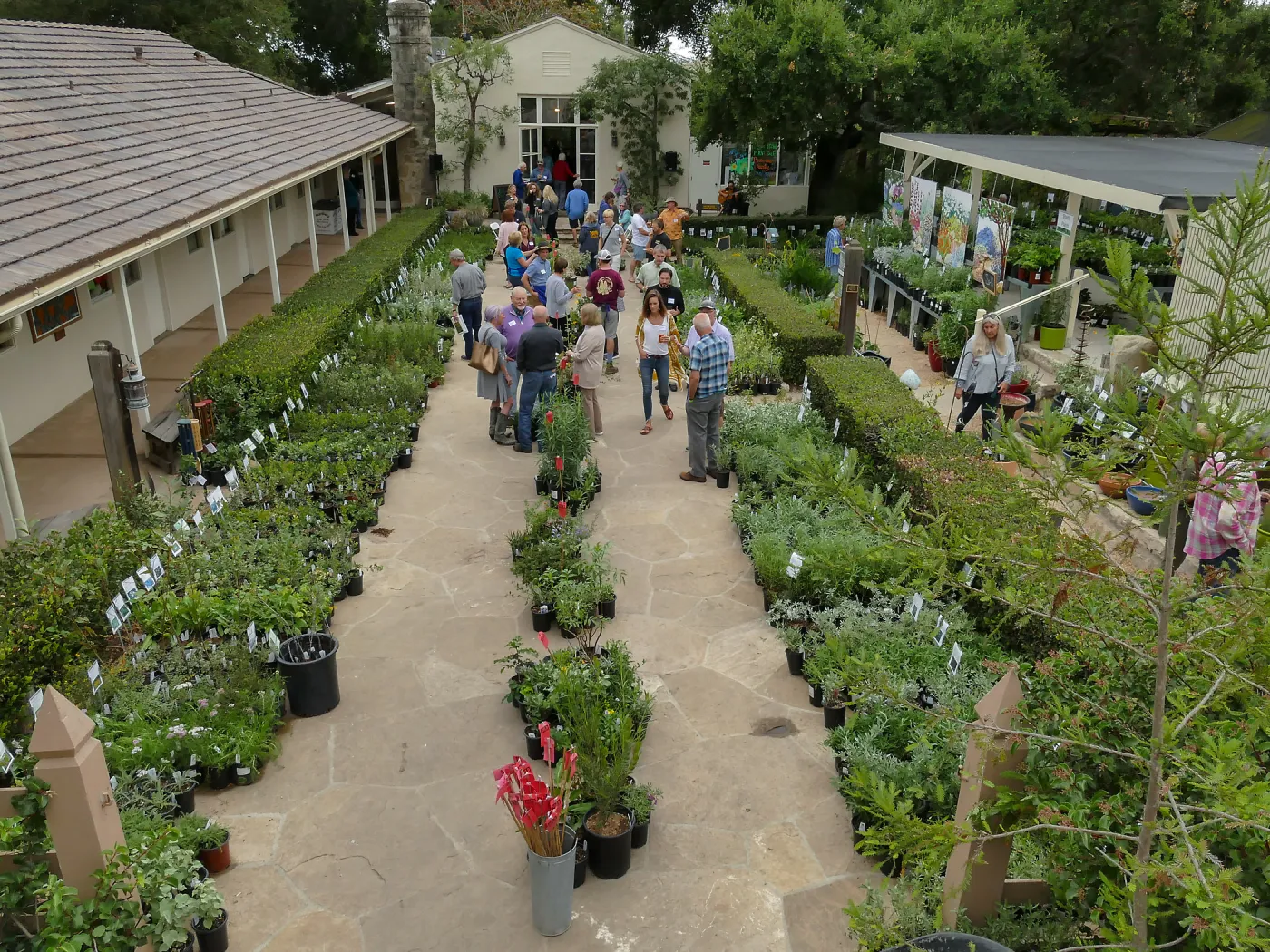 2019 Fall Plant Sale Preview Party