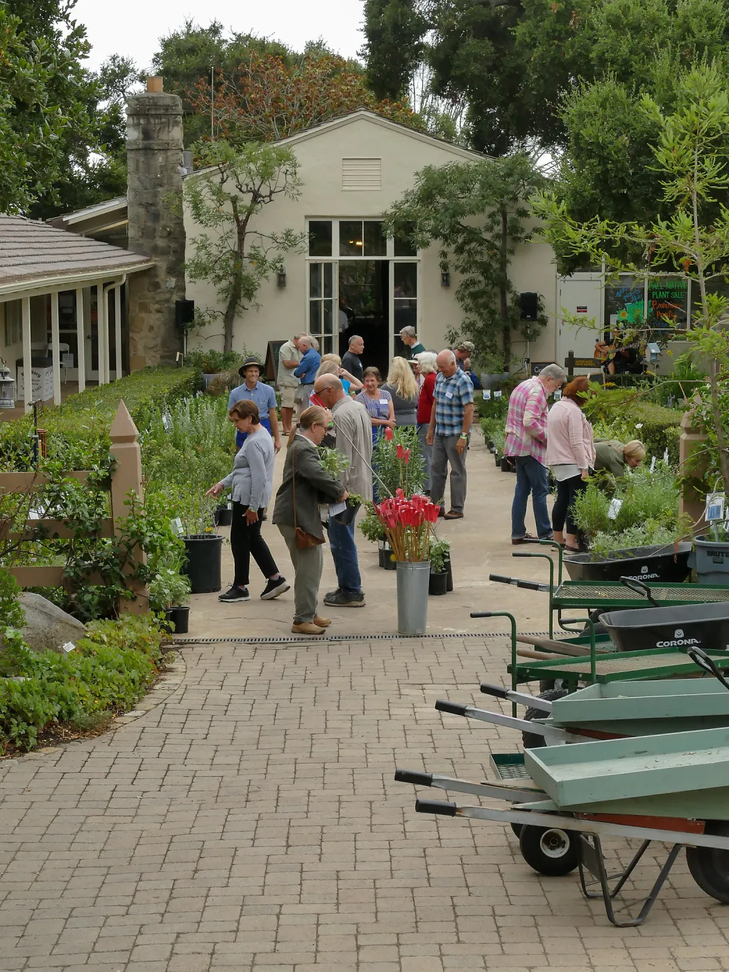 2019 Fall Plant Sale Preview Party