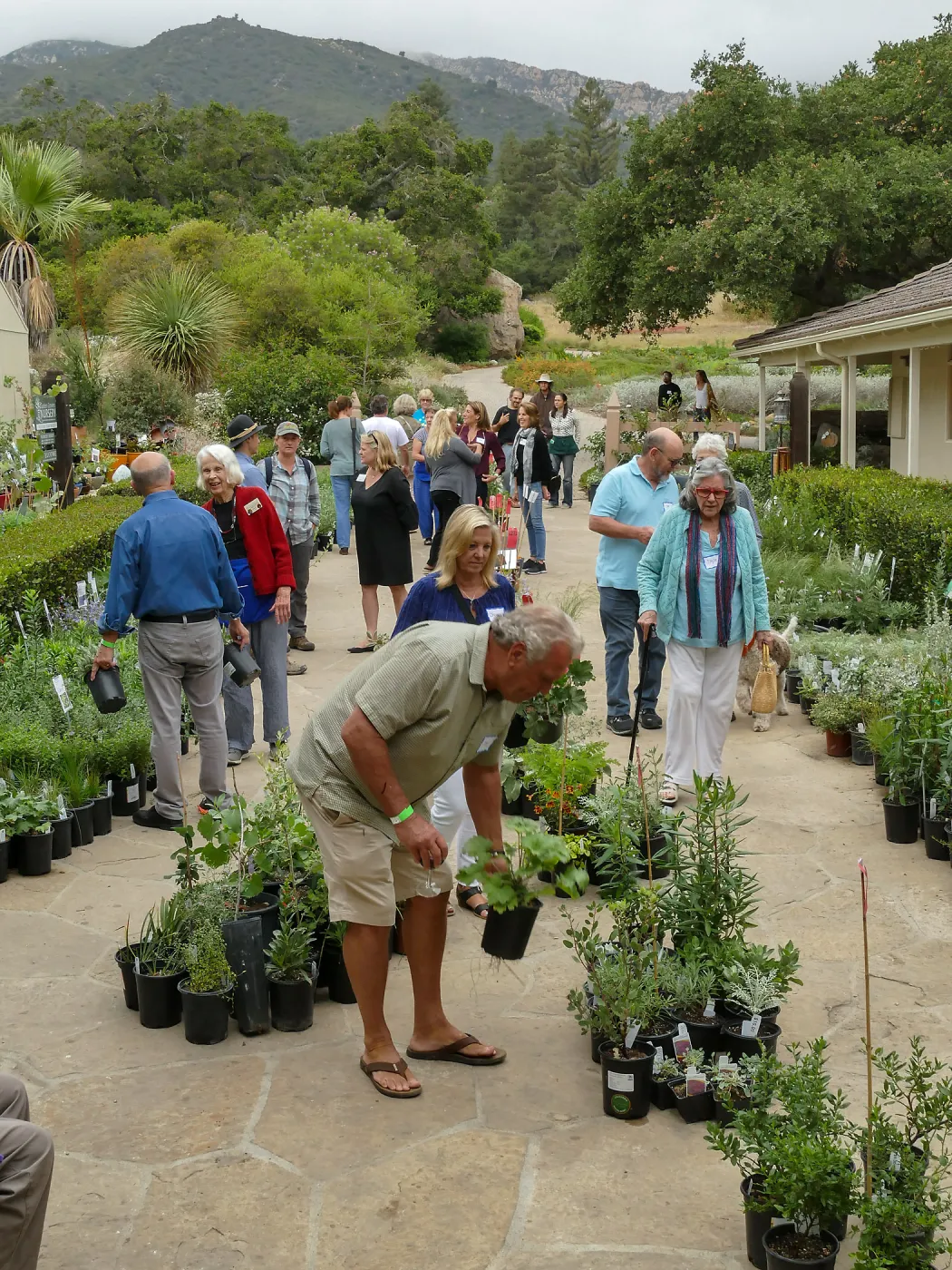 2019 Fall Plant Sale Preview Party