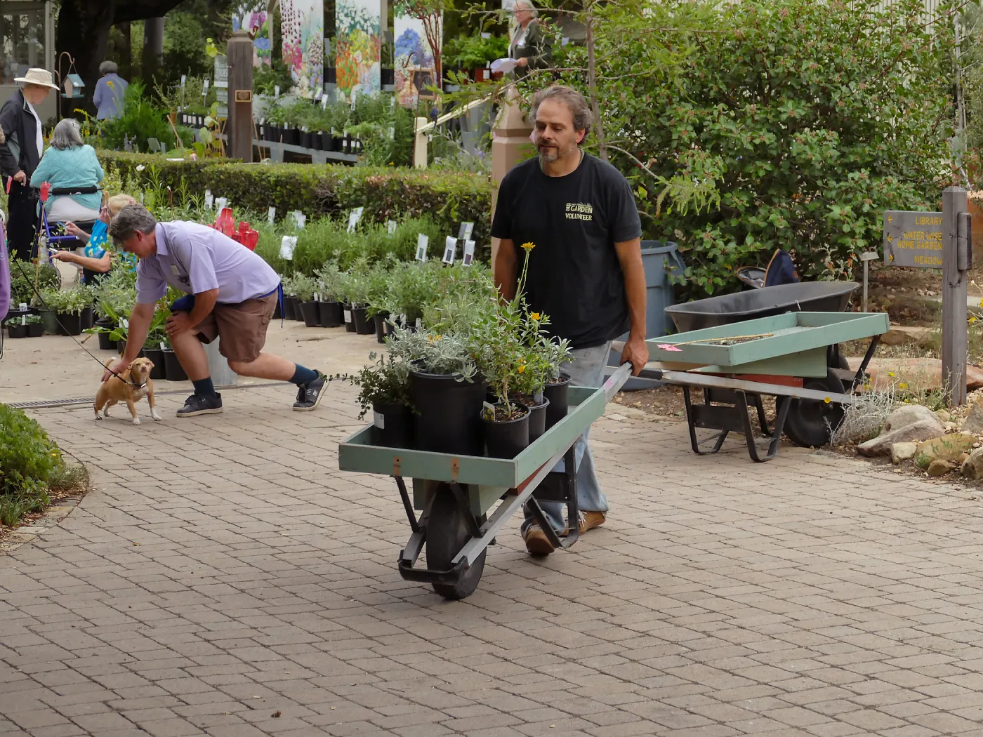 2019 Fall Plant Sale Preview Party