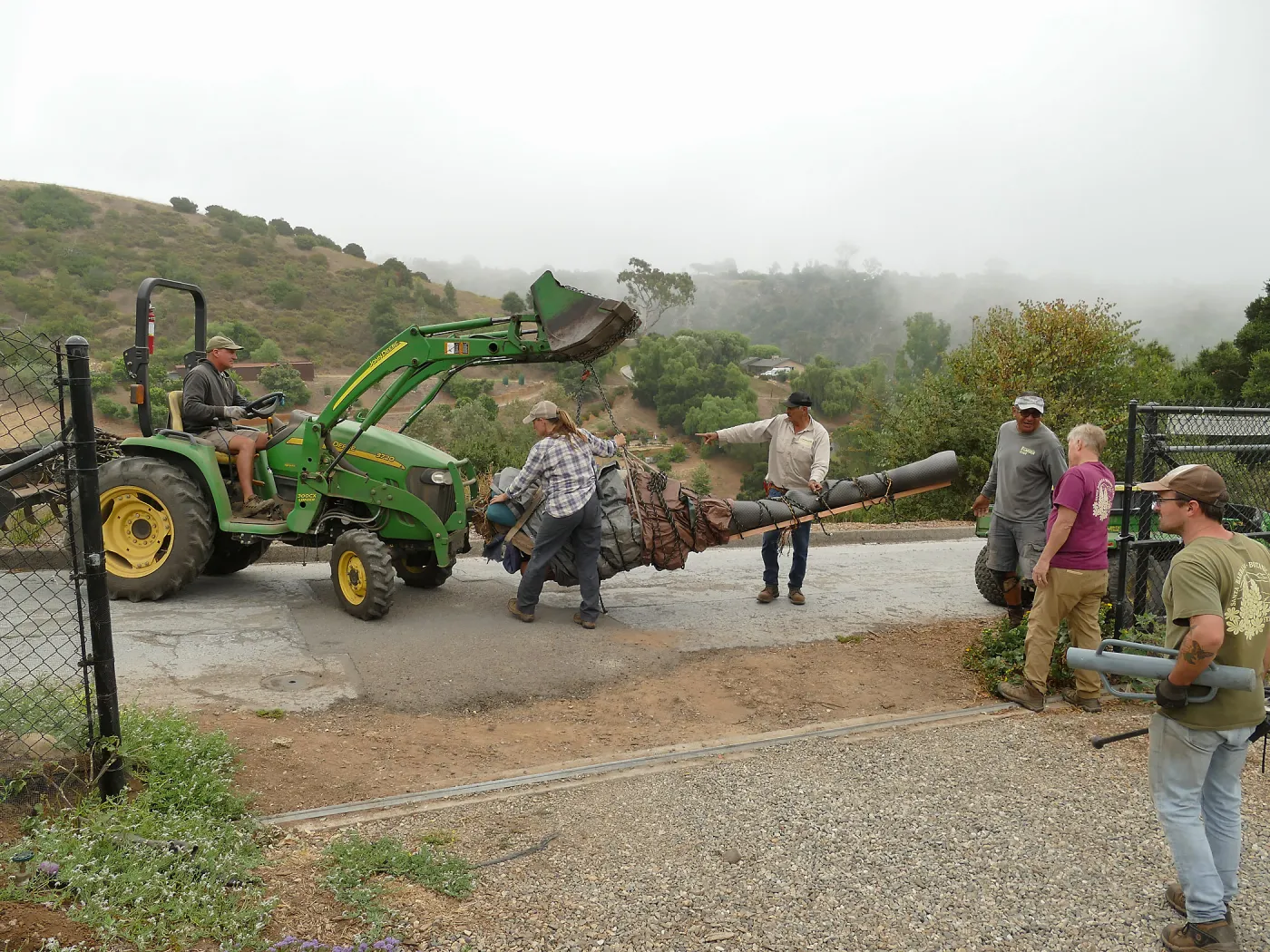 Moving a Lophocereus schottii cactus collected in 1996 from the canyard to the Island View Garden