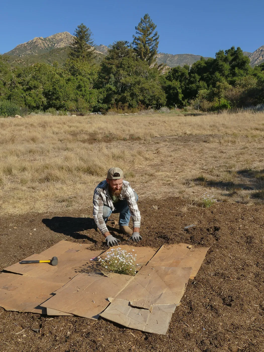 Dan Hite demonstrating sheet mulching