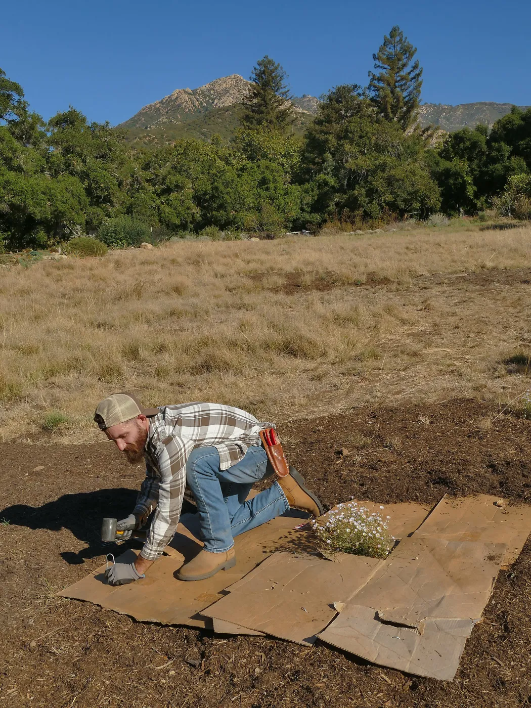 Dan Hite demonstrating sheet mulching