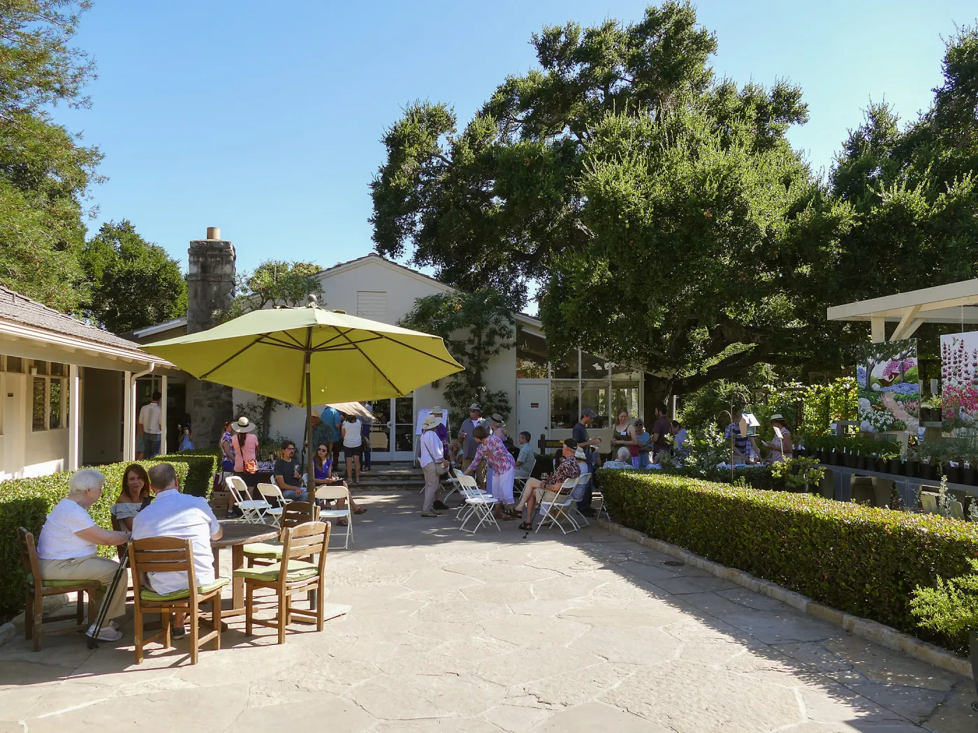 Summer Sips: â€œWhat Wines and Lichens Have in Commonâ€ with Rikke Naesborg