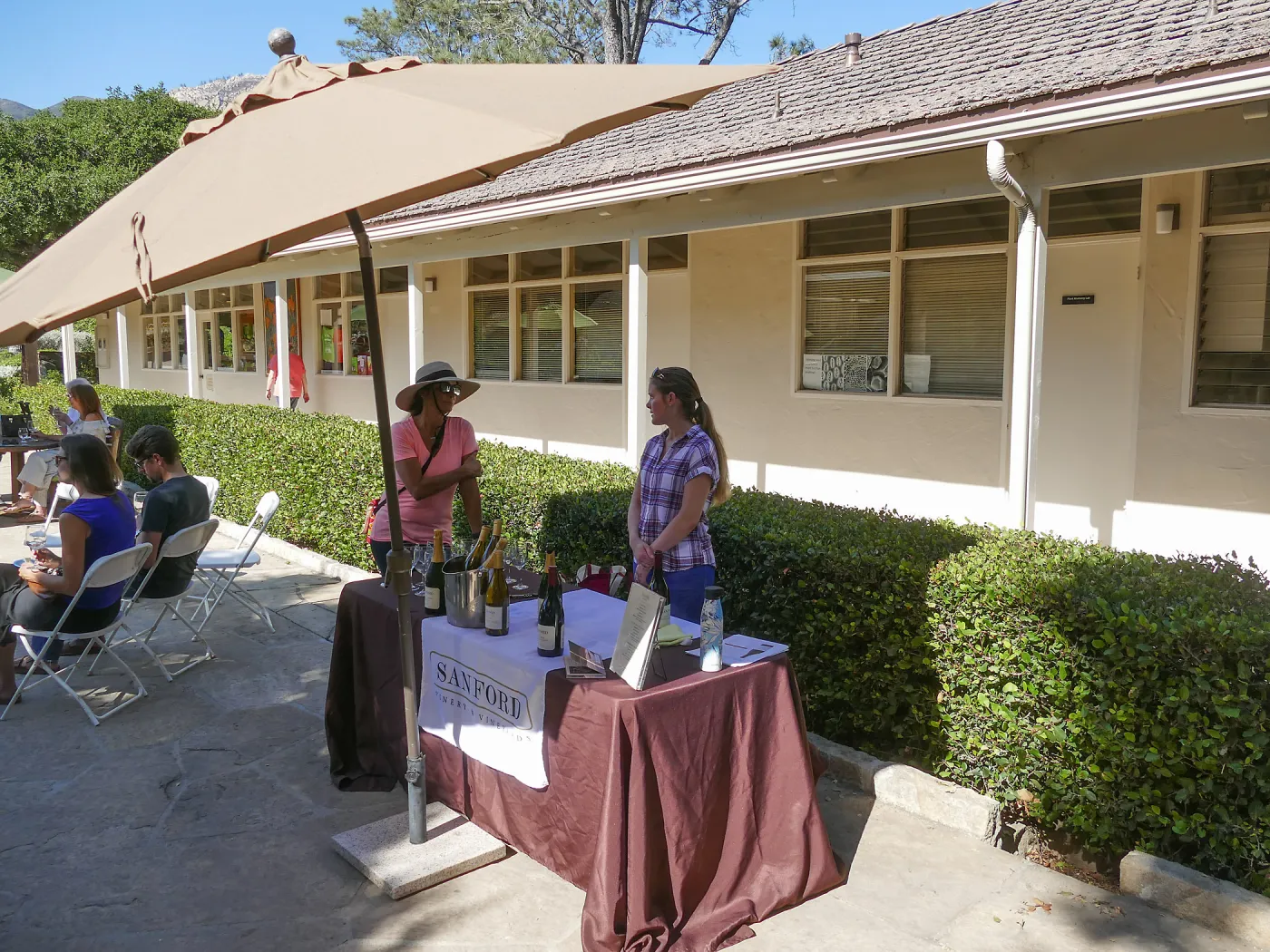 Summer Sips: â€œWhat Wines and Lichens Have in Commonâ€ with Rikke Naesborg