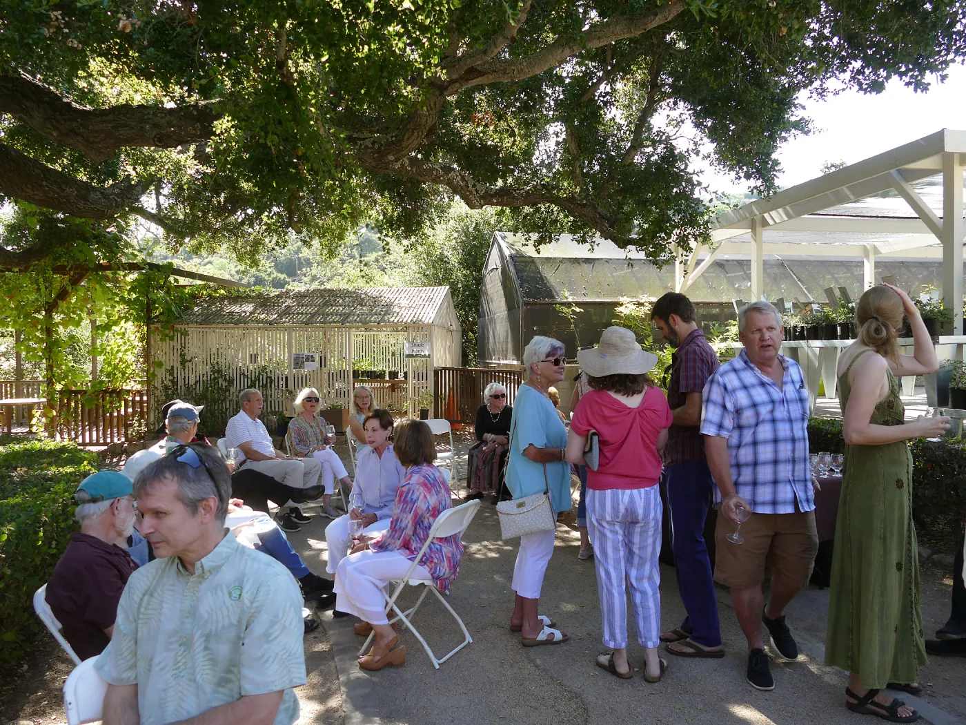 Summer Sips: â€œWhat Wines and Lichens Have in Commonâ€ with Rikke Naesborg