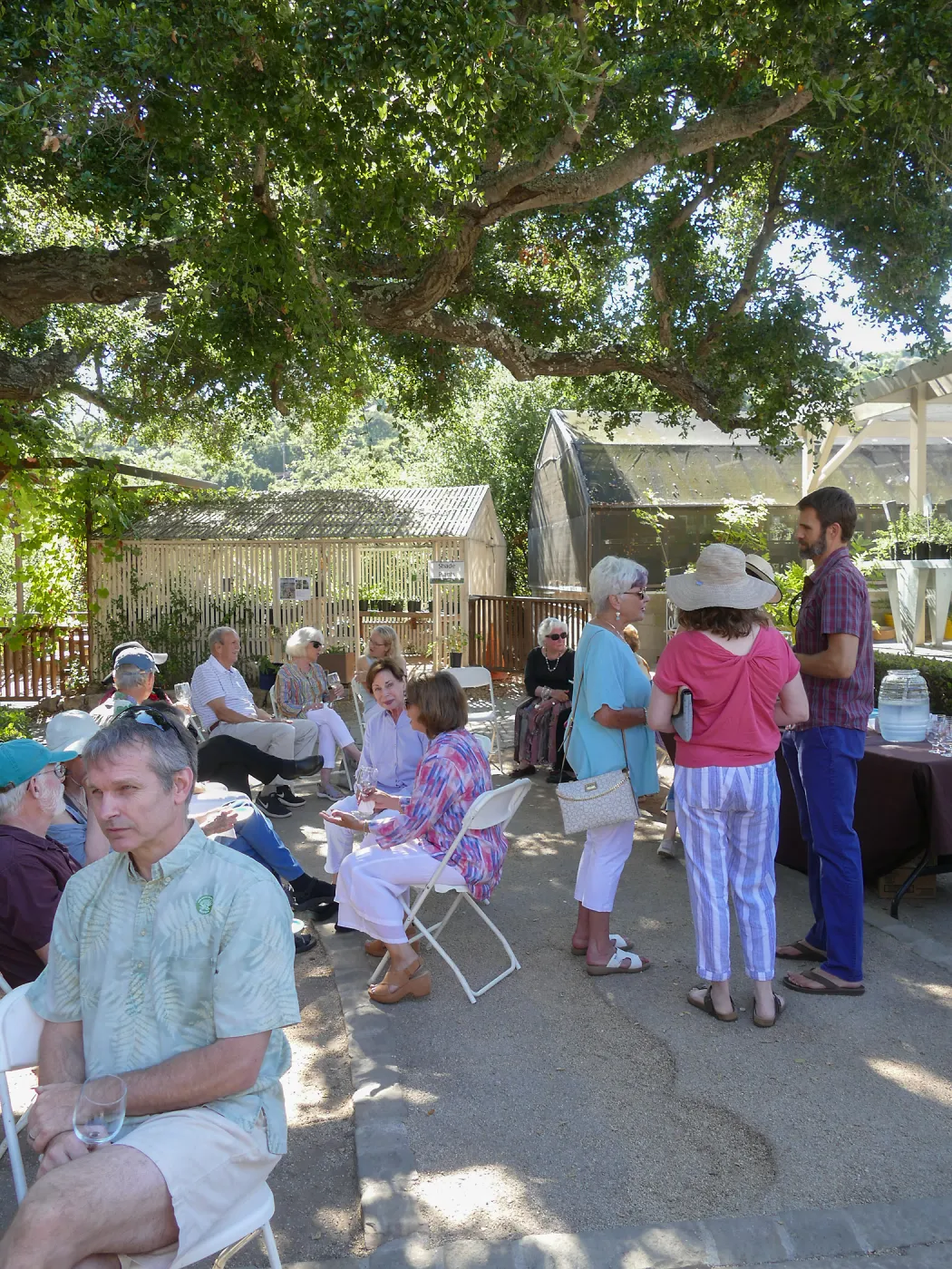 Summer Sips: â€œWhat Wines and Lichens Have in Commonâ€ with Rikke Naesborg