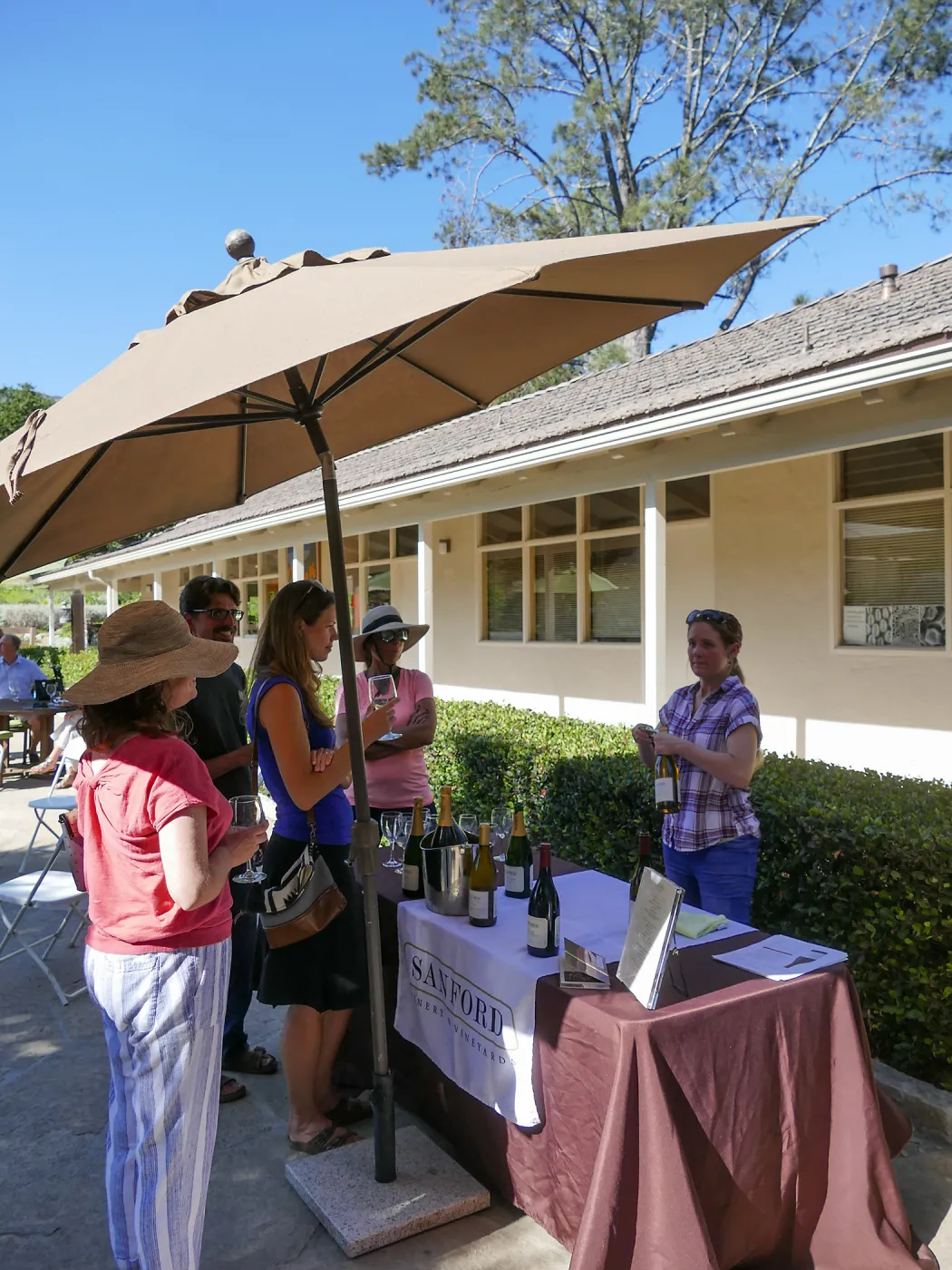 Summer Sips: â€œWhat Wines and Lichens Have in Commonâ€ with Rikke Naesborg