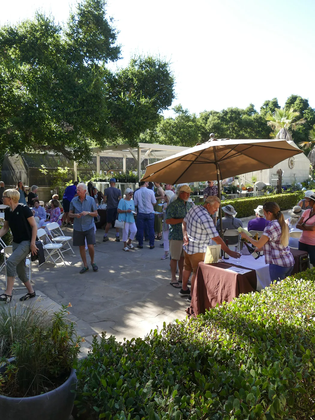 Summer Sips: â€œWhat Wines and Lichens Have in Commonâ€ with Rikke Naesborg