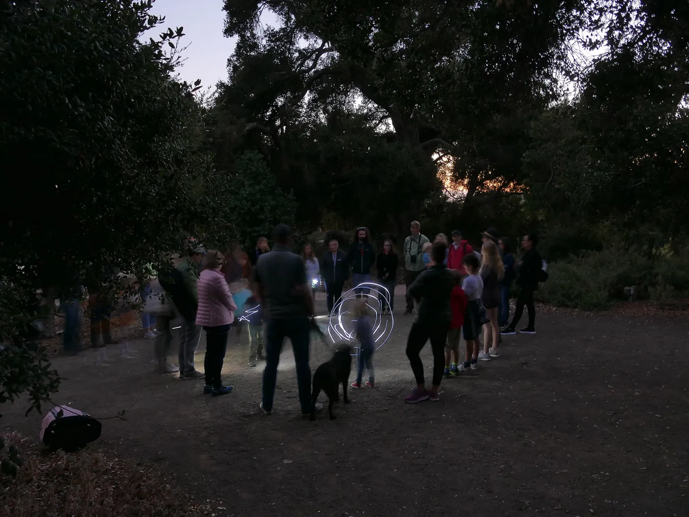 Full Moon Family Night