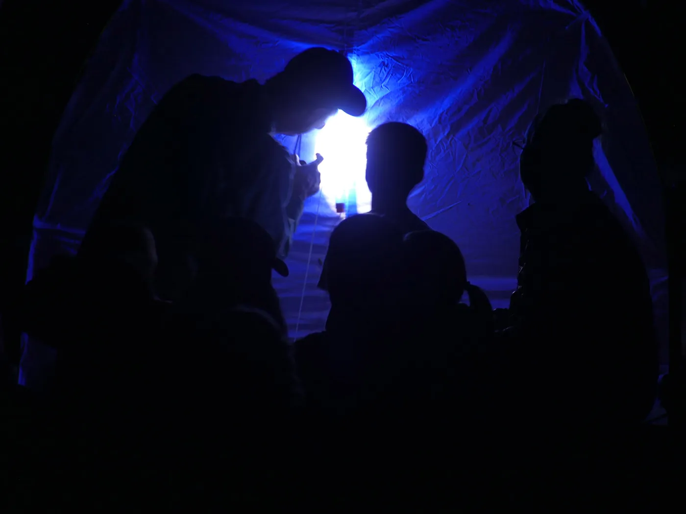Full Moon Family Night, insect observation station with ultraviolet attacting lamp