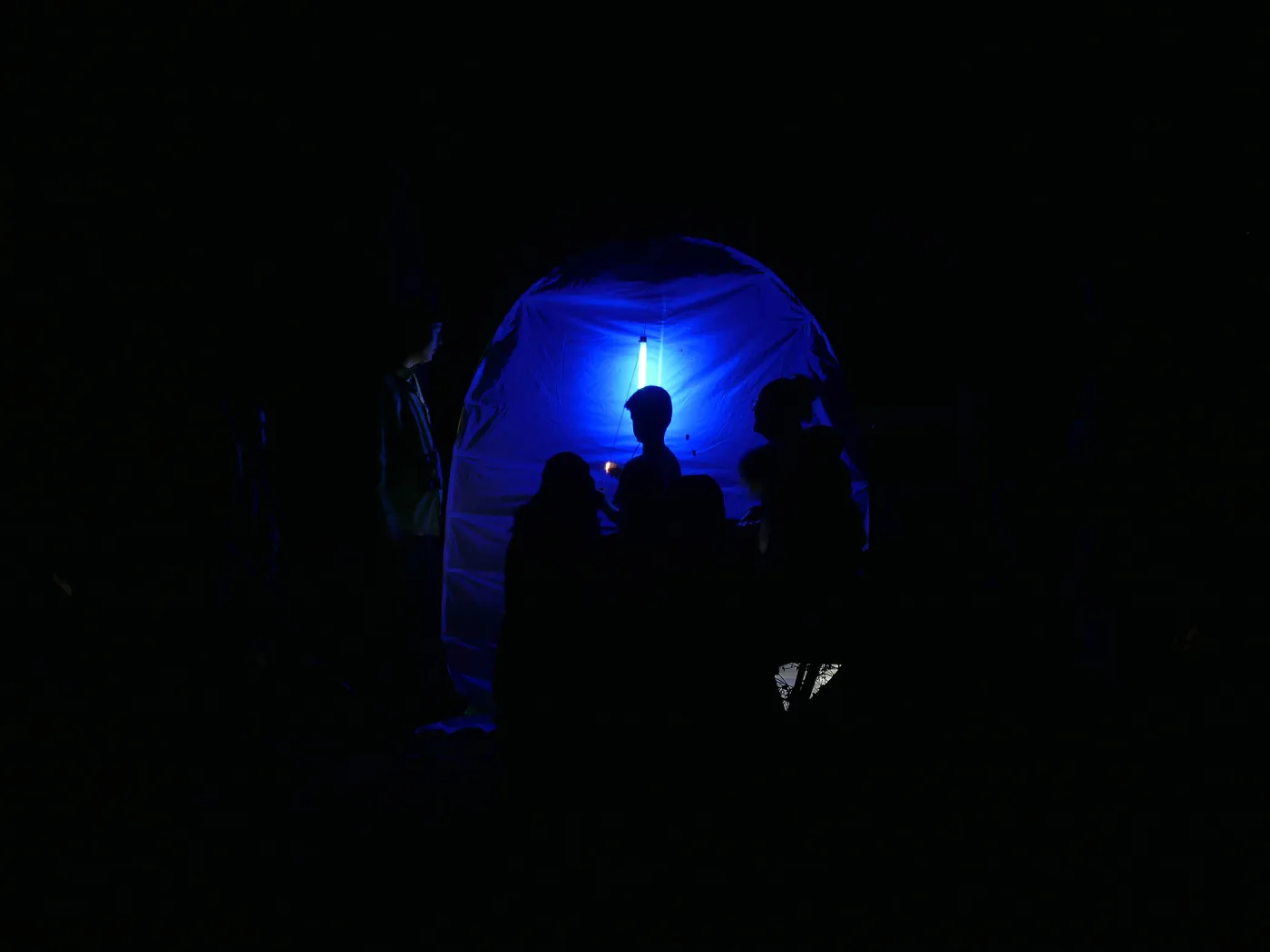 Full Moon Family Night, insect observation station with ultraviolet attacting lamp