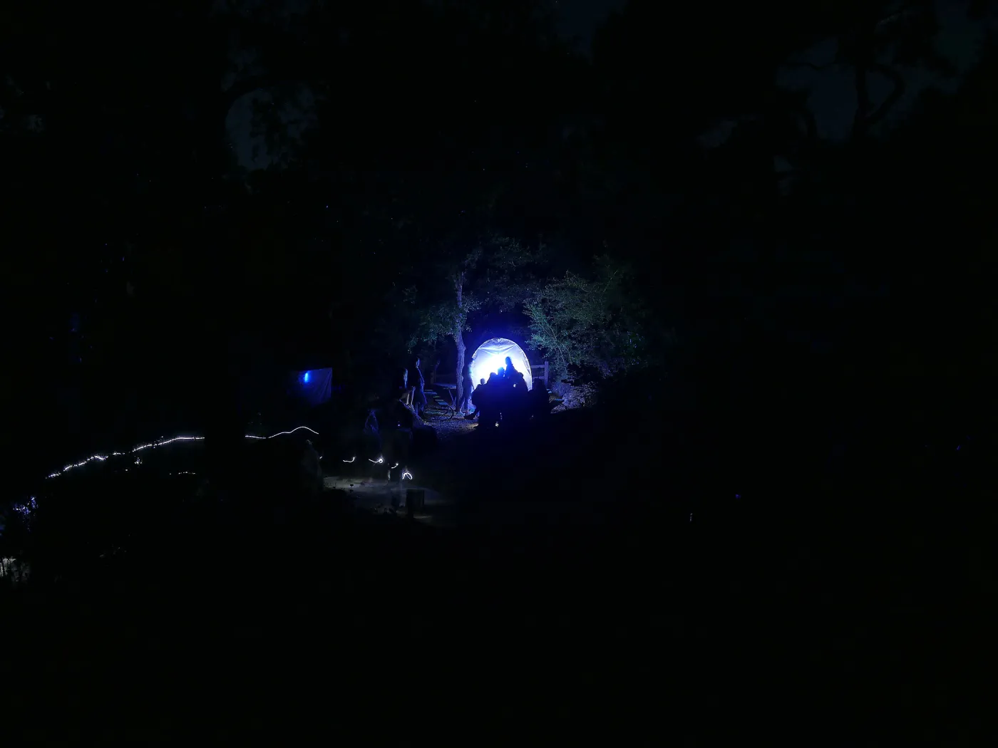 Full Moon Family Night, insect observation station with ultraviolet attacting lamp