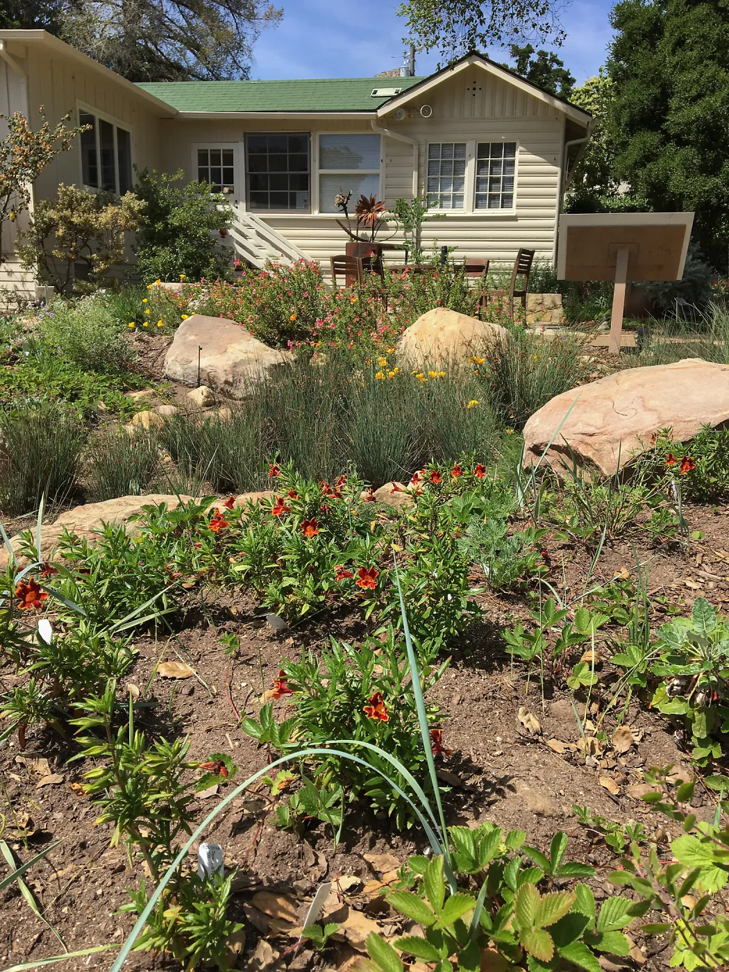 Rain garden at the Water Wise Home Garden