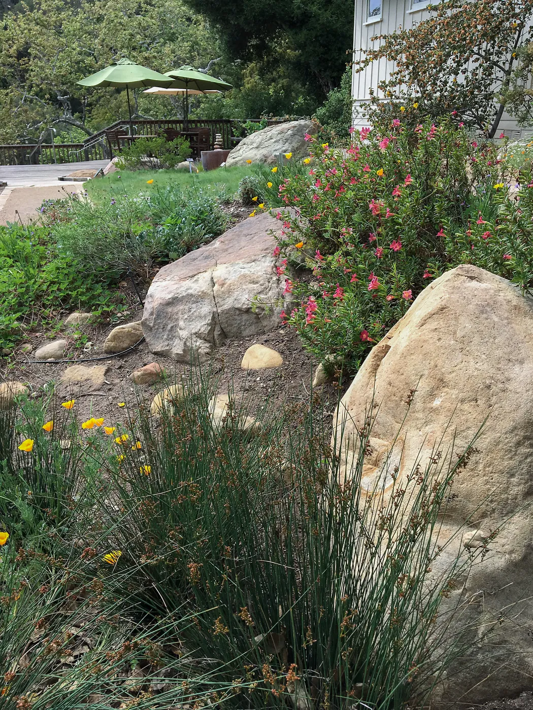Water Wise Home Demonstration Garden