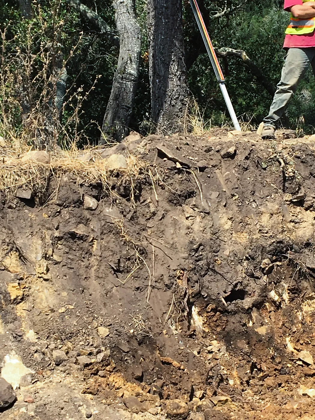 Hansen site, digging Hort Barn foundation