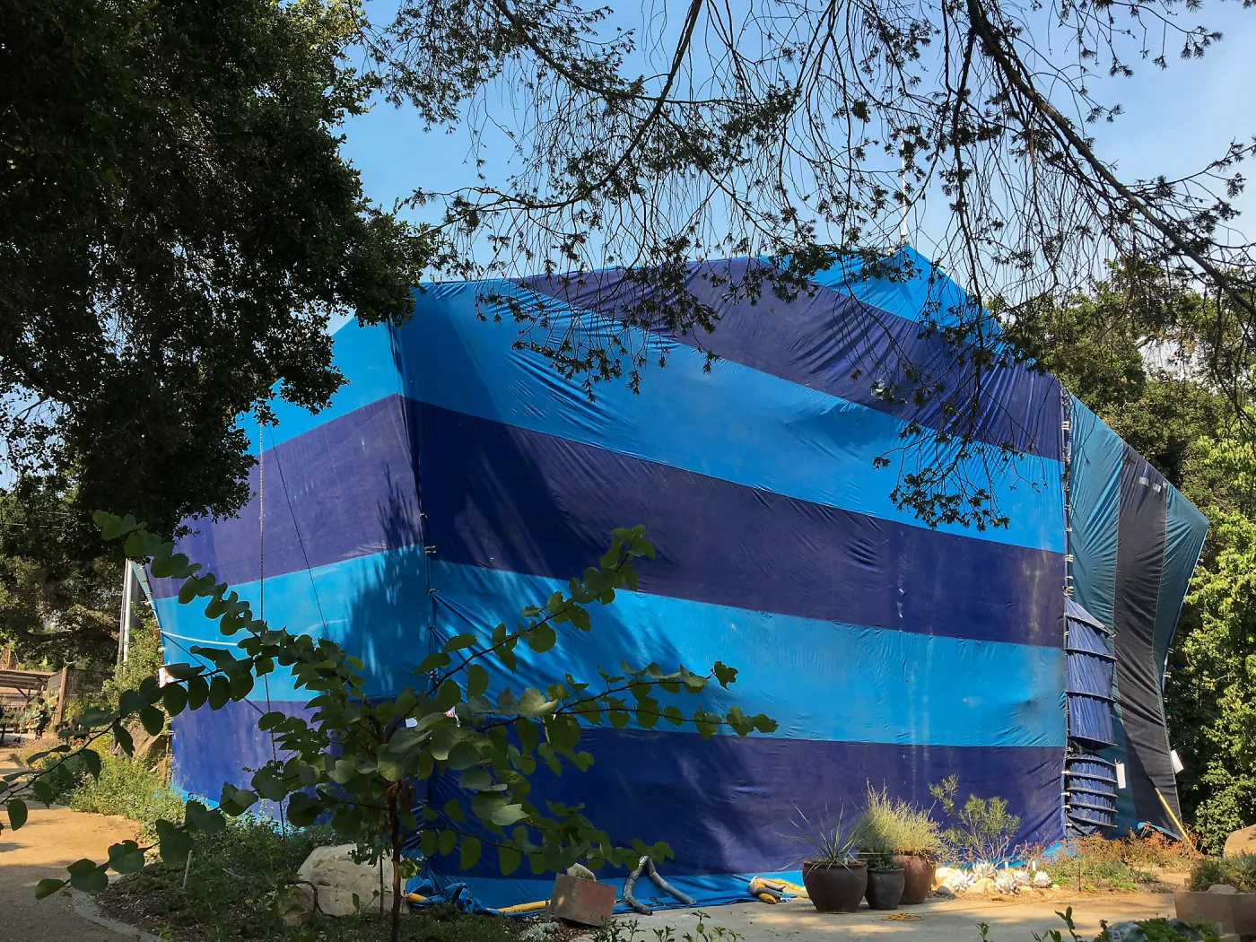 Fumigation of the Herbarium building