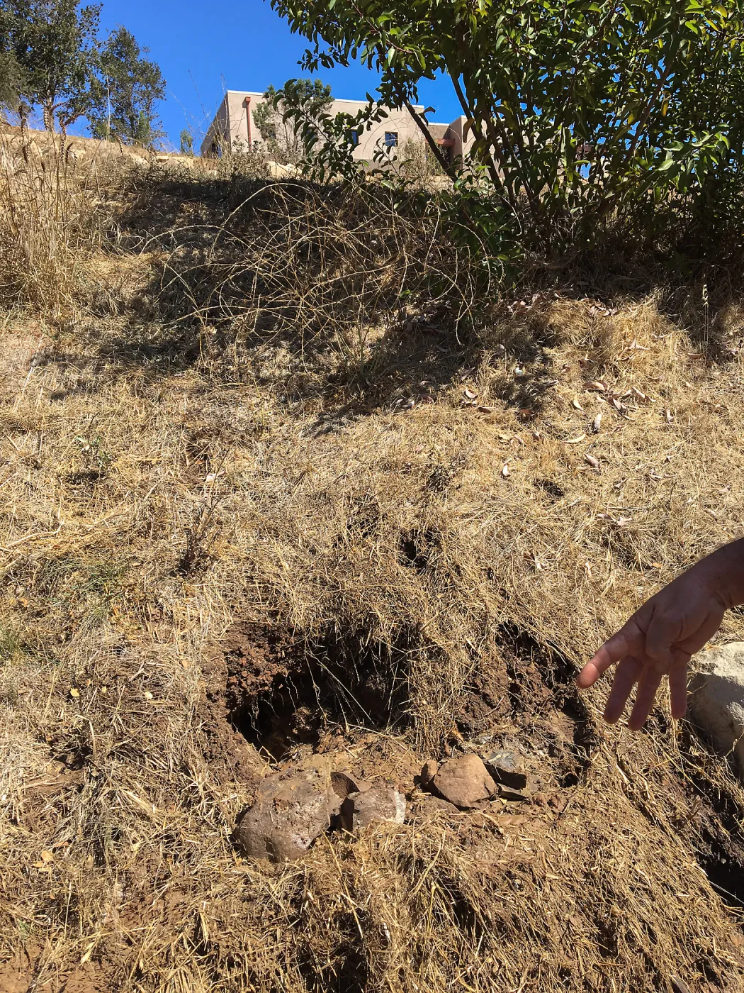 Main line irrigation leak at Mission Canyon Road