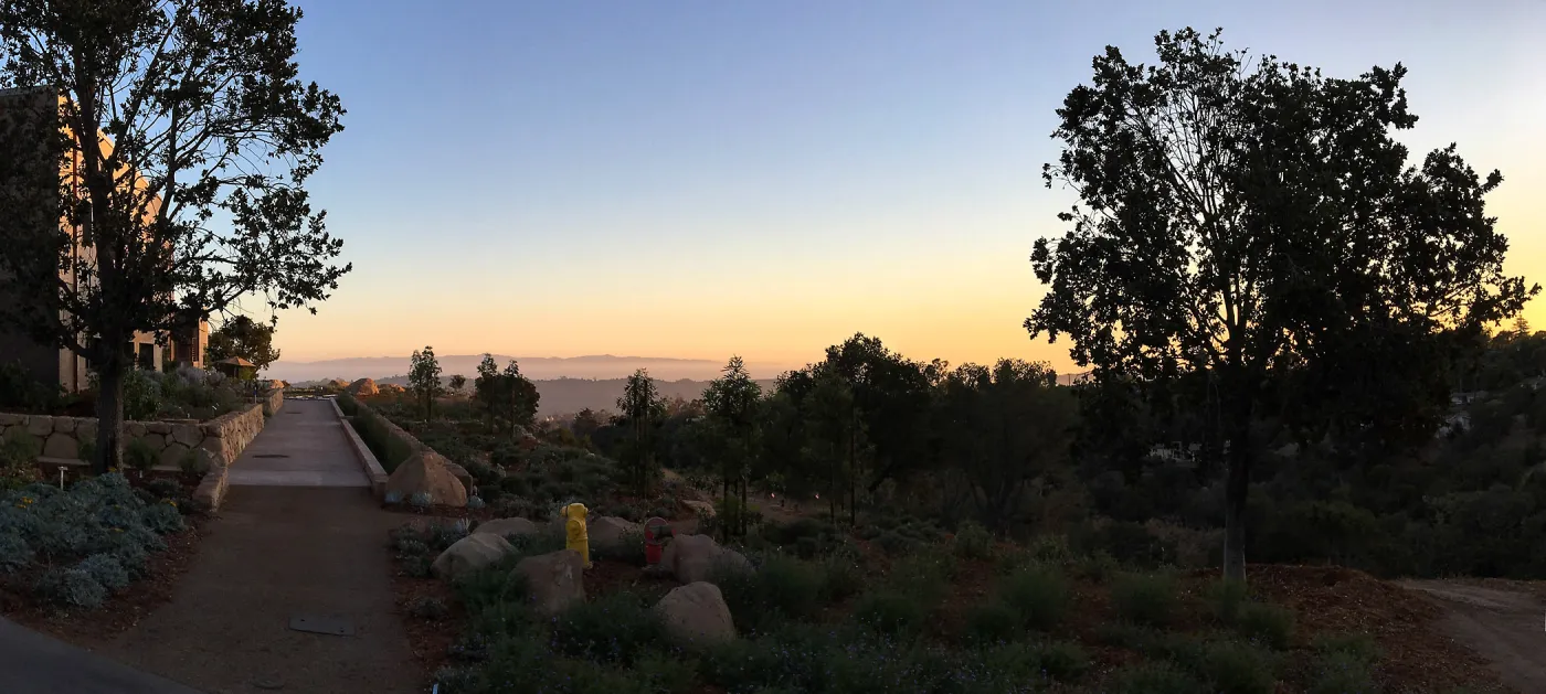 Evening at the Island View Garden