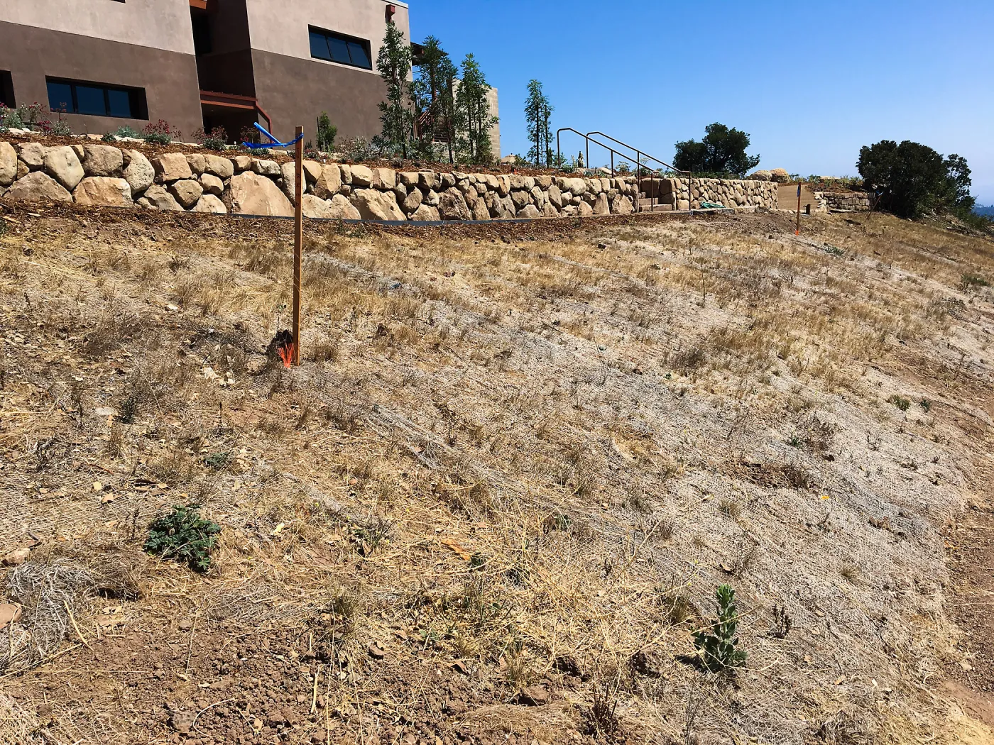 Stabilized slope on west side below Conservation Center