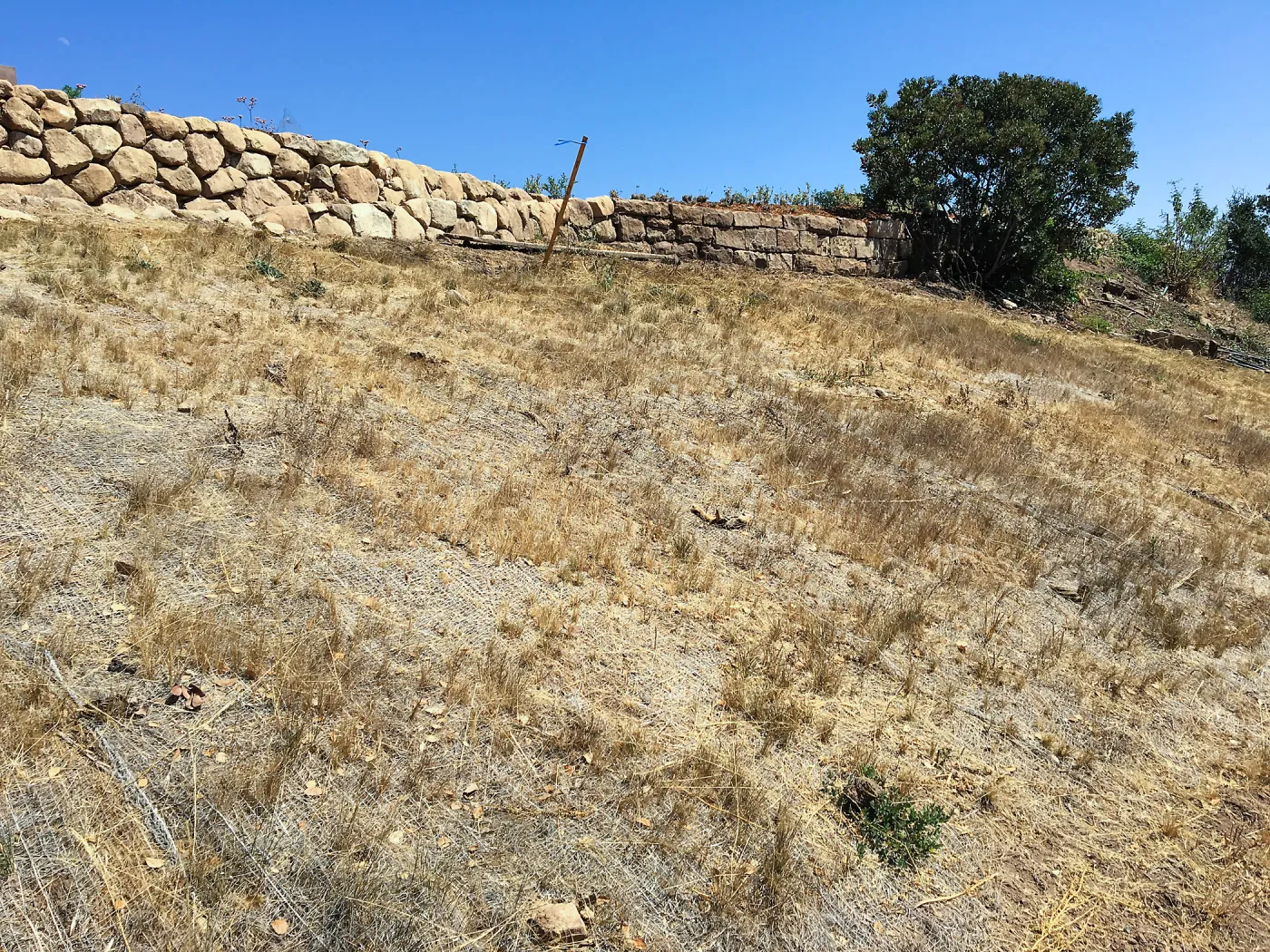 Stabilized slope on west side below Conservation Center