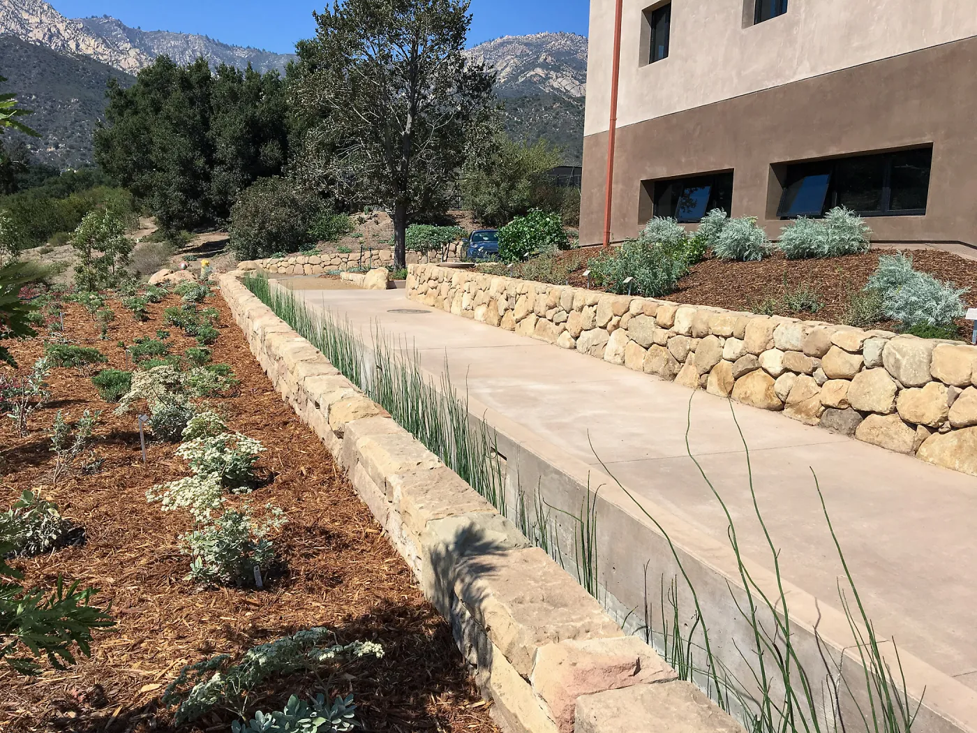 West side of Pritzlaff Conservation Center showng rill