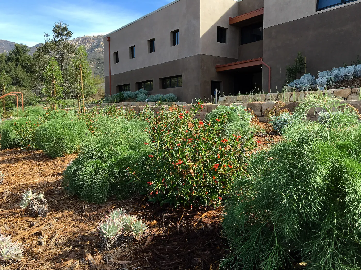 West slope of Island View Garden