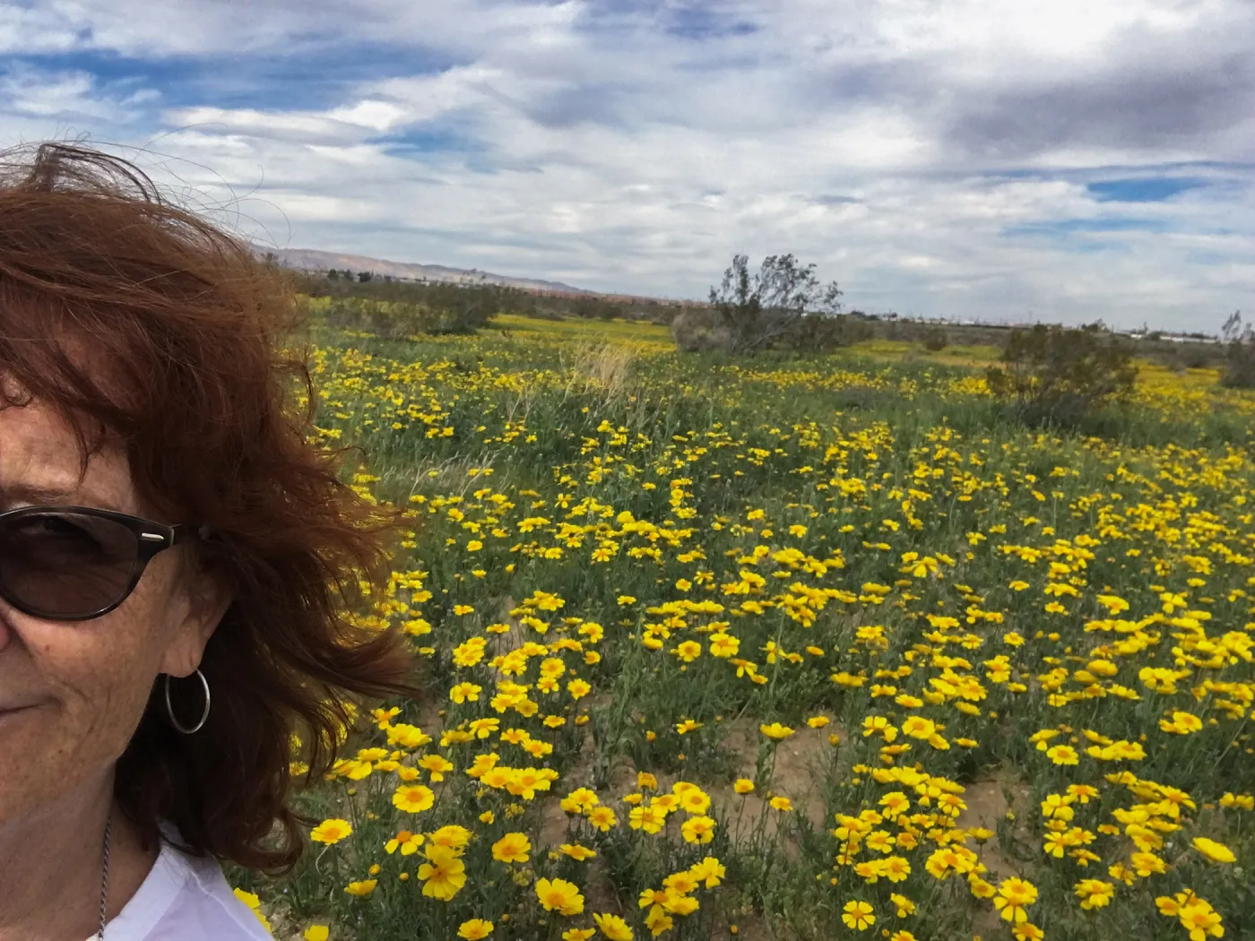 Betsy collins with Monolopia lanceolata wildflowers along Mojave-Tropico Rd in Kern County