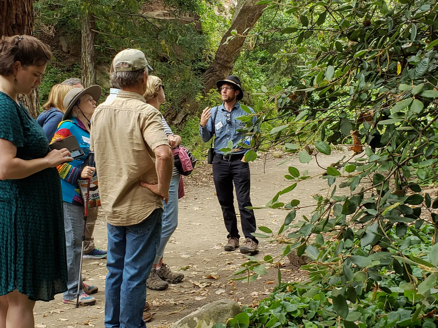 Greet the Day Stroll in the Redwood Section
