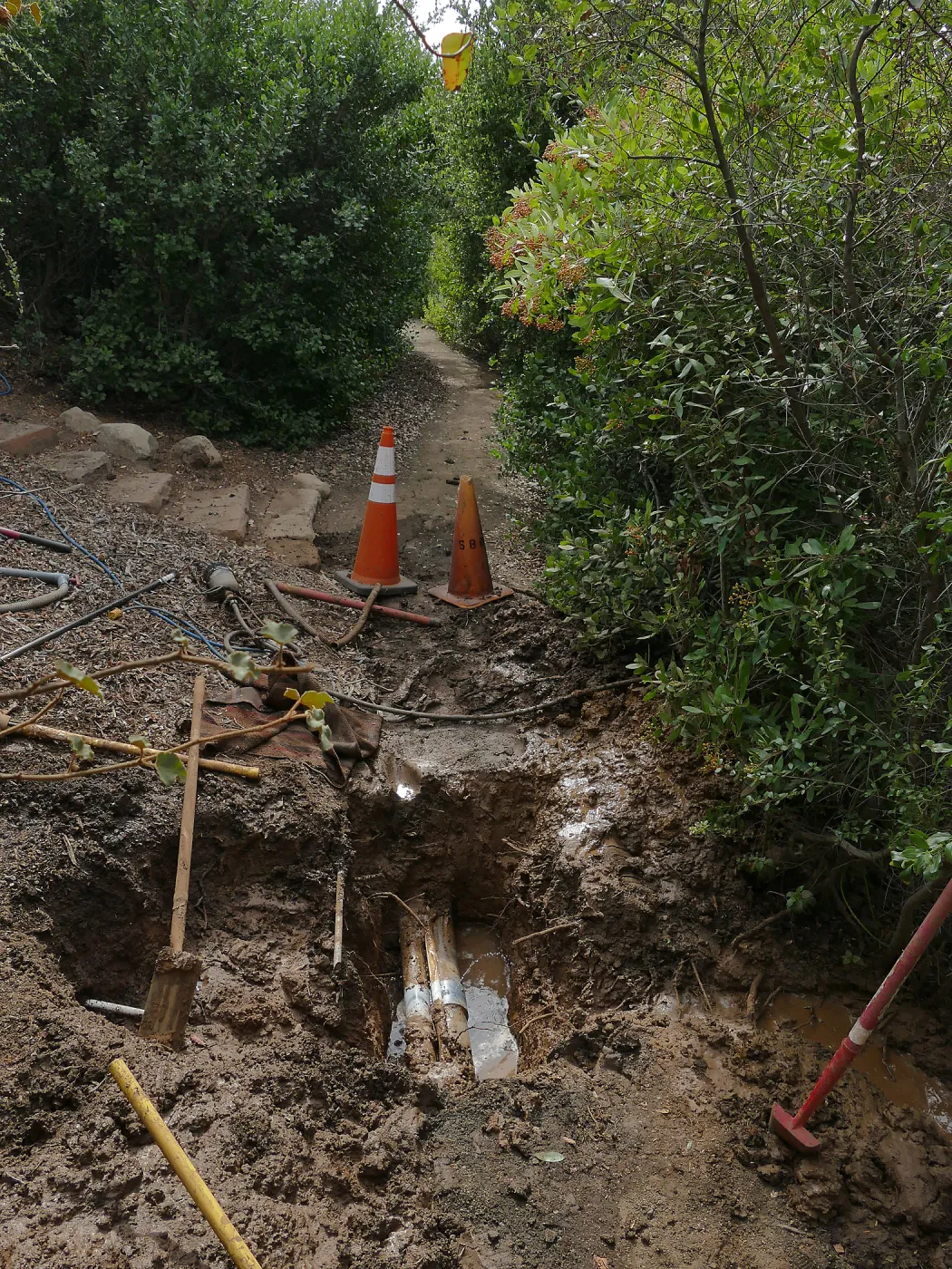 Broken 4 inch irrigation water pipe in Porter Trail section, looking south