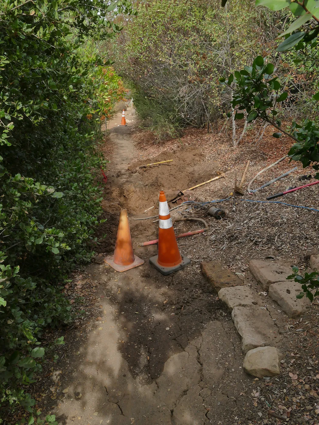Site of broken 4 inch irrigation water pipe in Porter Trail section, looking north.