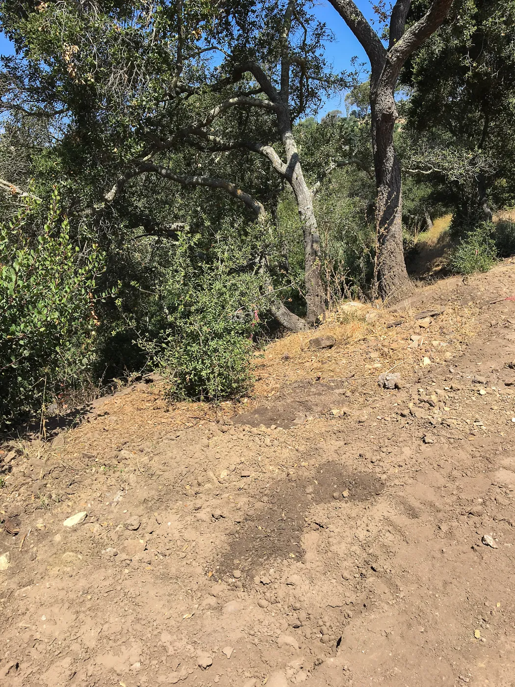 Hansen Site, Hort Barn construction