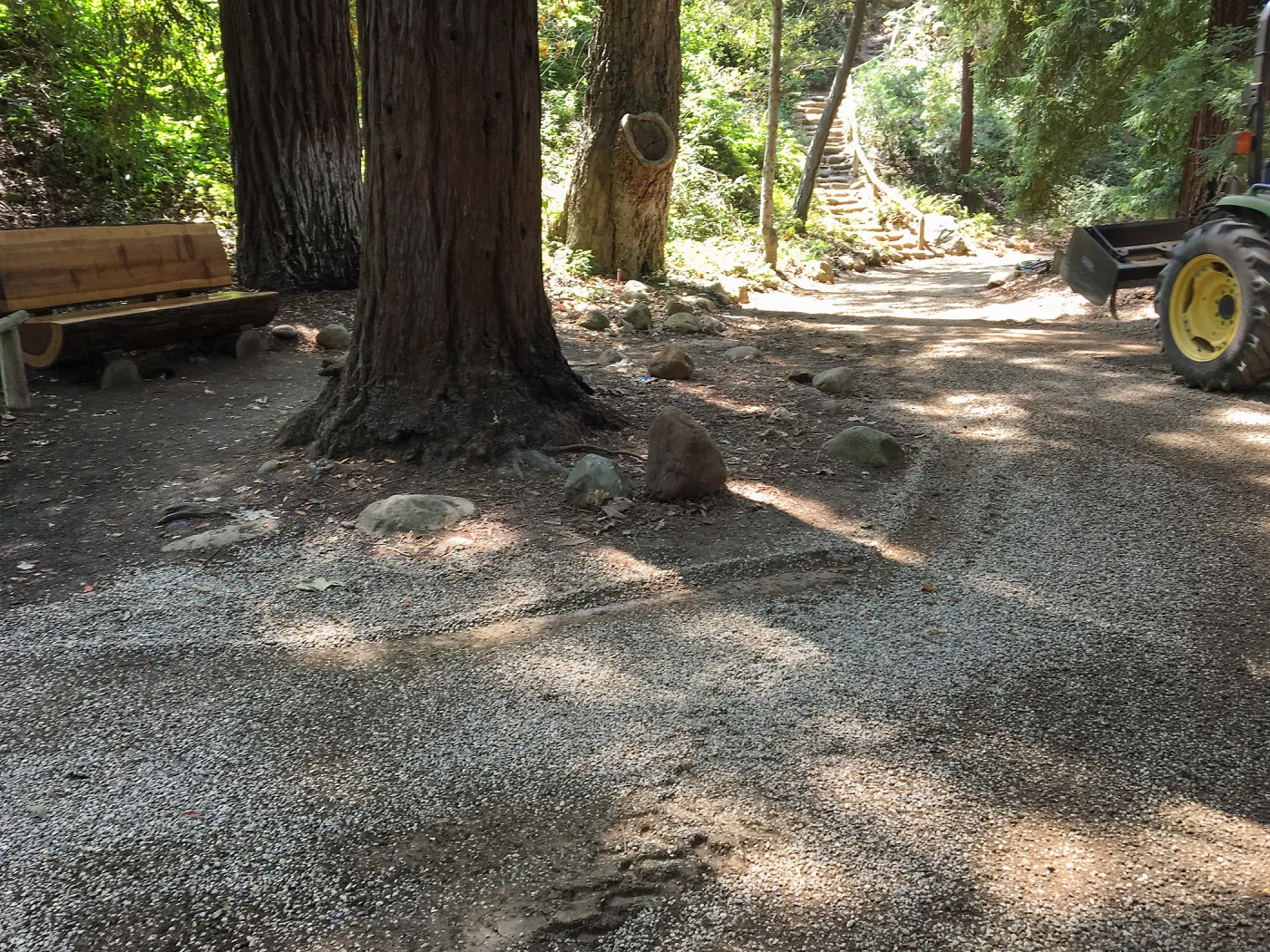 Trail work on Redwood Trail, Indian Steps