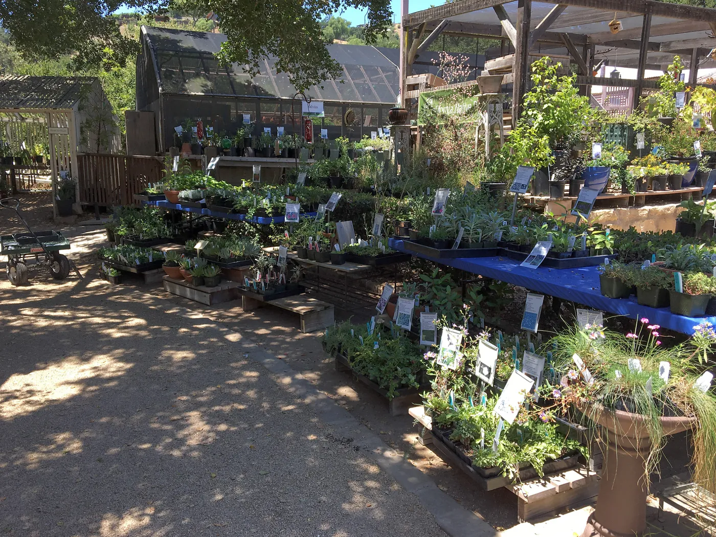 Garden Growers Nursery