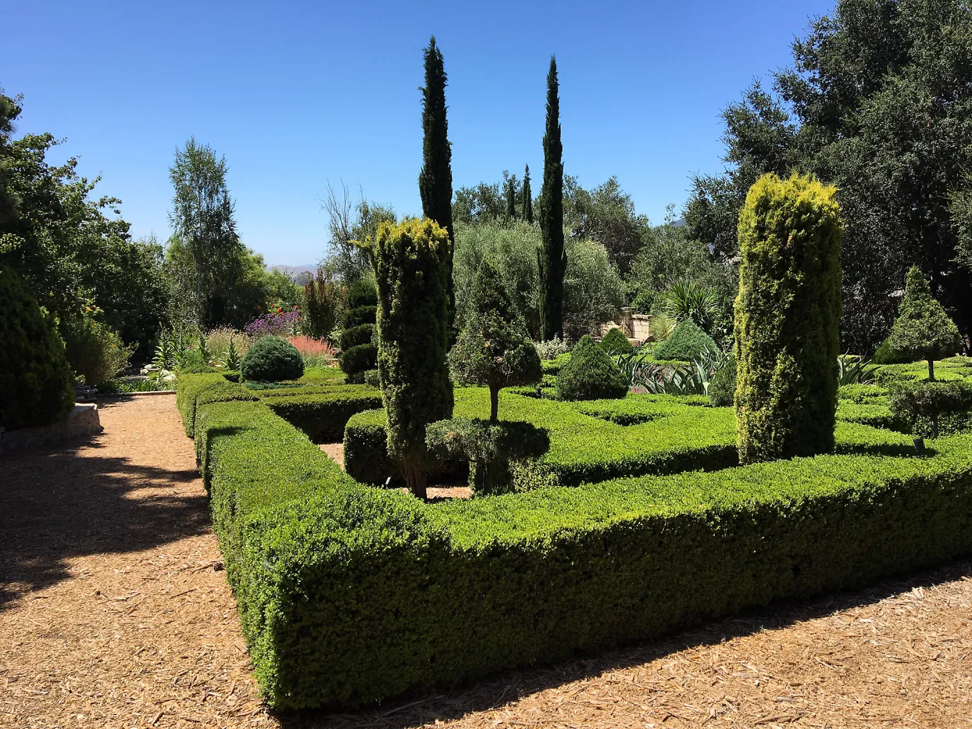 Clipped hedges at Leaning Pine Arboretum, Cal Poly San Luis Obispo
