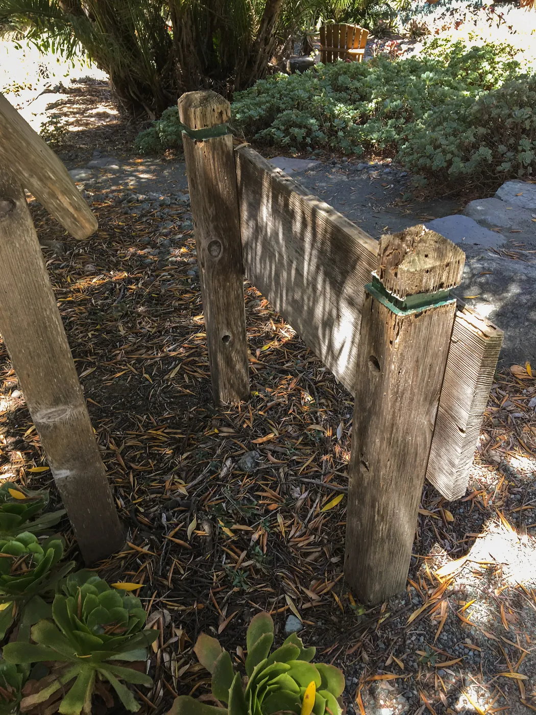 Signage at Leaning Pine Arboretum, Cal Poly San Luis Obispo