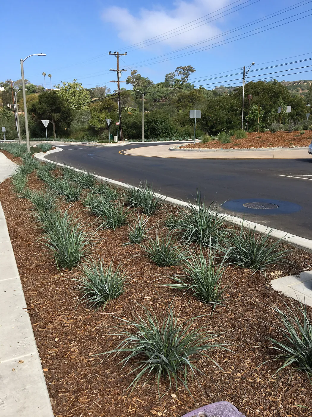 Roundabout at Las Positas and Cliff Drive, Leymus Canyon Prince