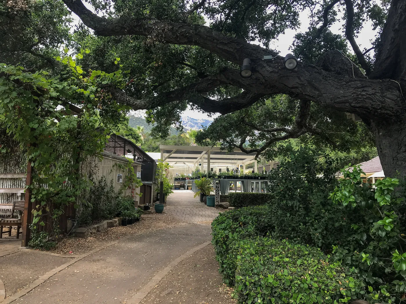 Garden Growers Nursery