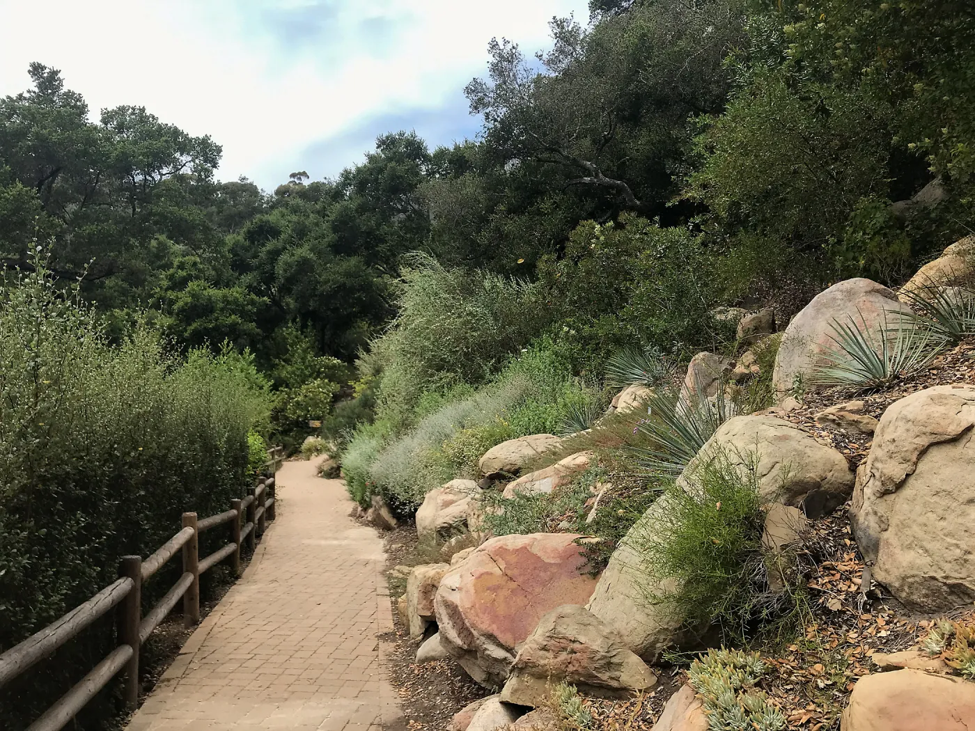 Campbell Trail