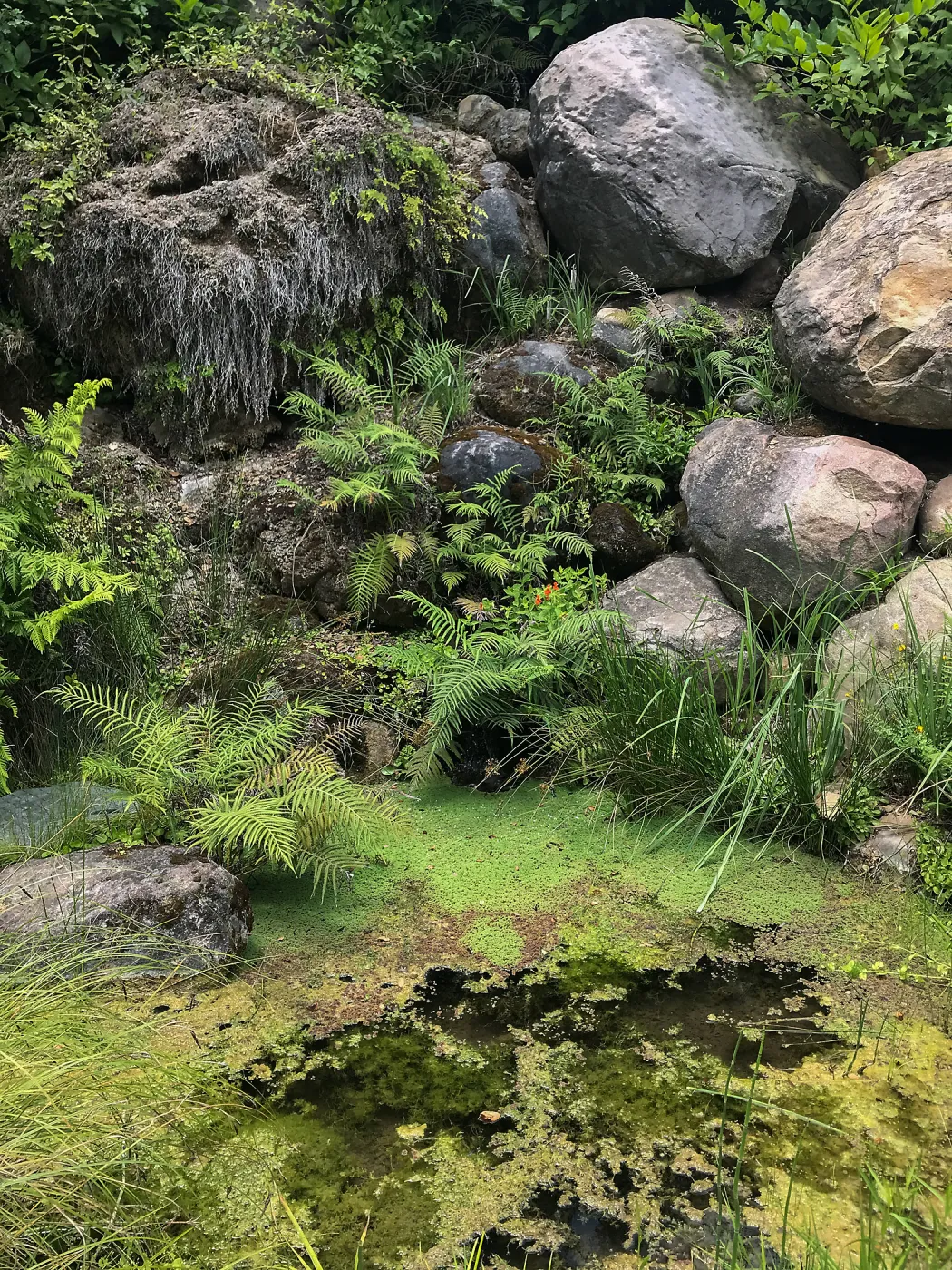 Dripping Rock in the Arroyo Section