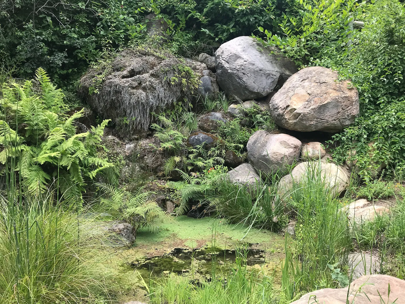 Dripping Rock in the Arroyo Section