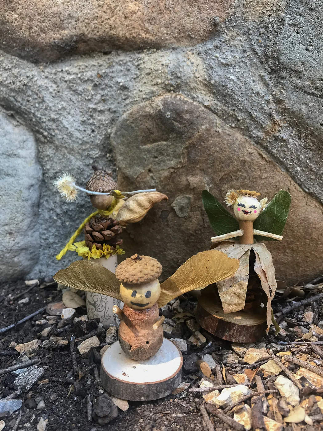 Fairy Homes