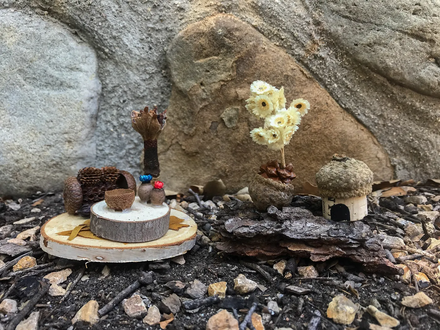 Fairy Homes