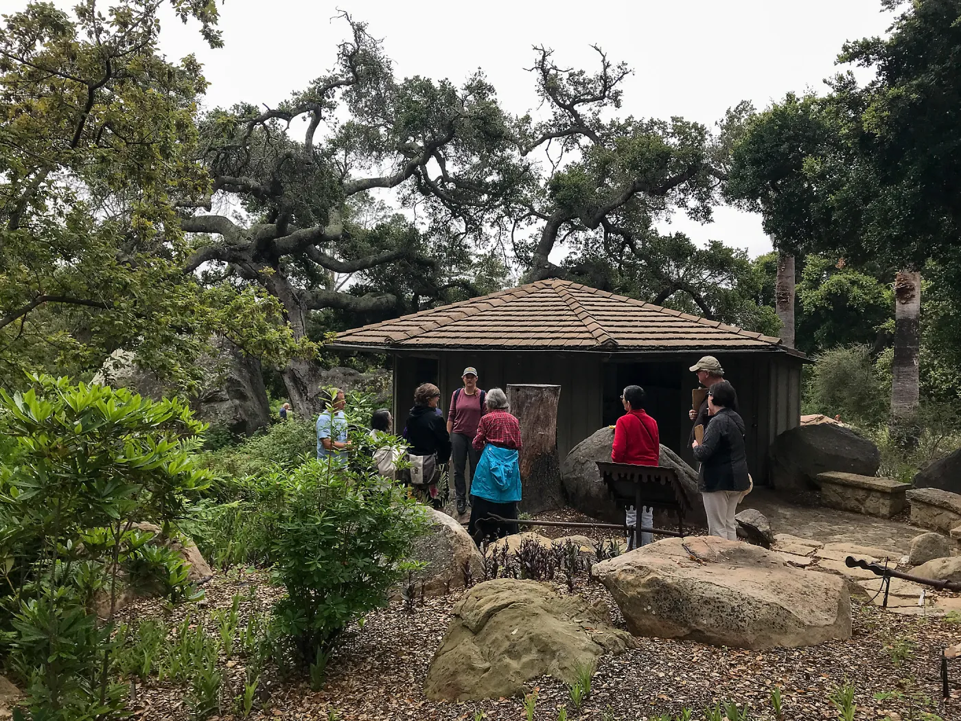 Building Habitat in Your Home Garden class with Stephanie Ranes