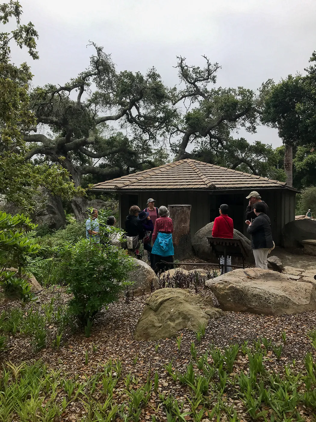 Building Habitat in Your Home Garden class with Stephanie Ranes