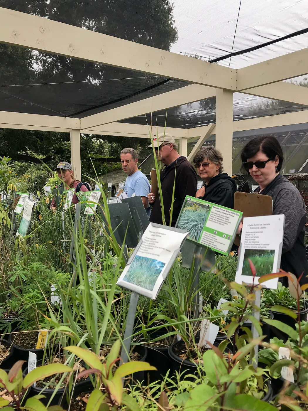 Building Habitat in Your Home Garden class with Stephanie Ranes
