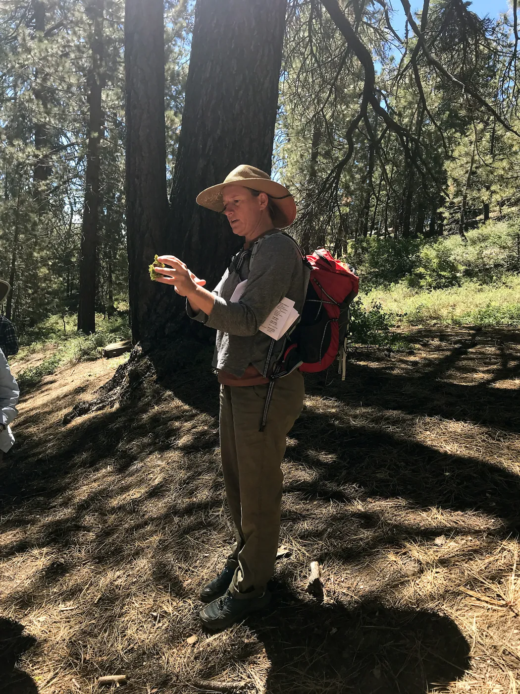 Mt. PiÃ±os field trip
