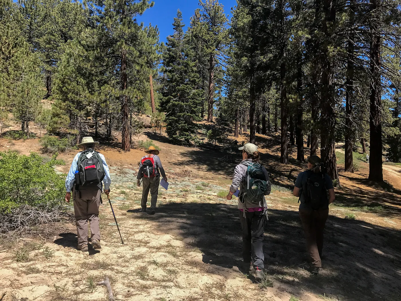 Mt. PiÃ±os field trip