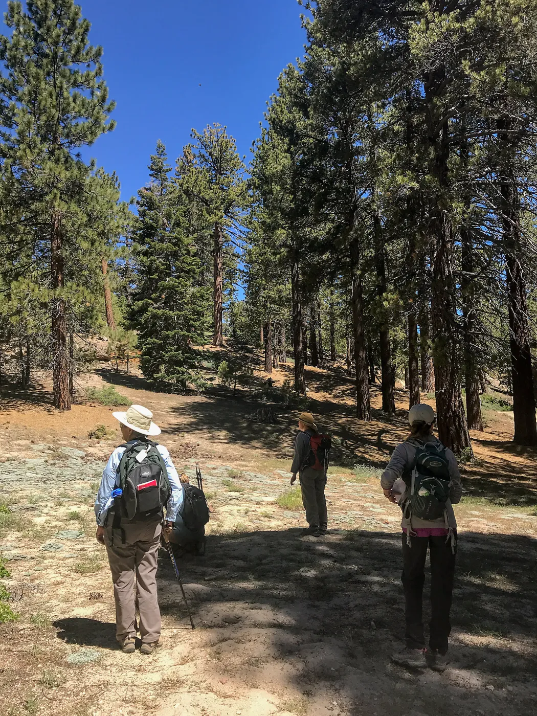 Mt. PiÃ±os field trip