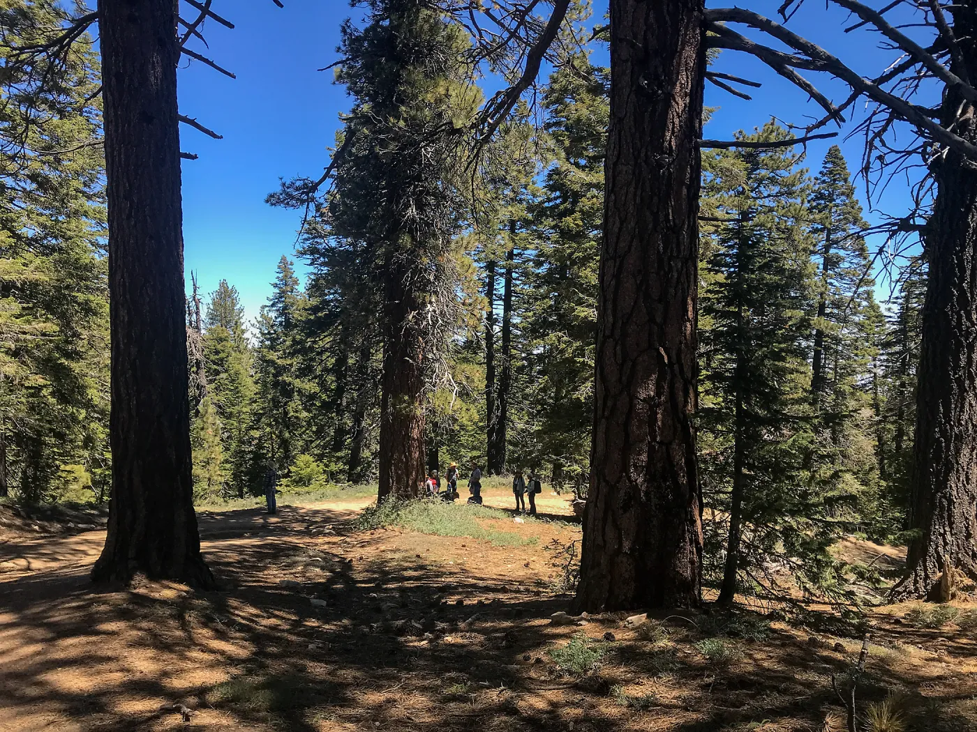Mt. PiÃ±os field trip